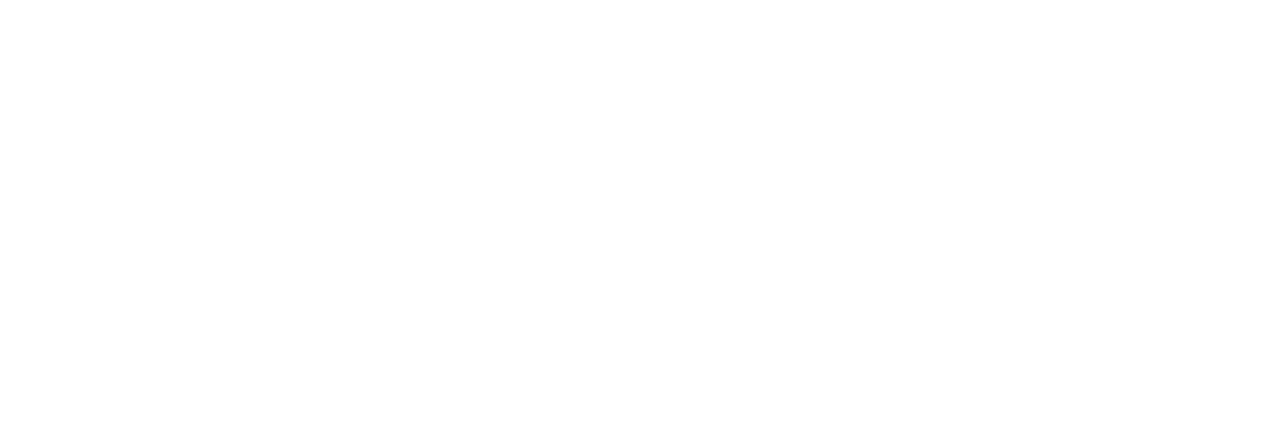 League TM Solutions Logo
